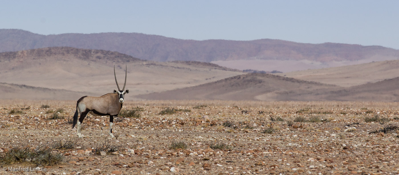 2015_Namibia_1D-2885.jpg