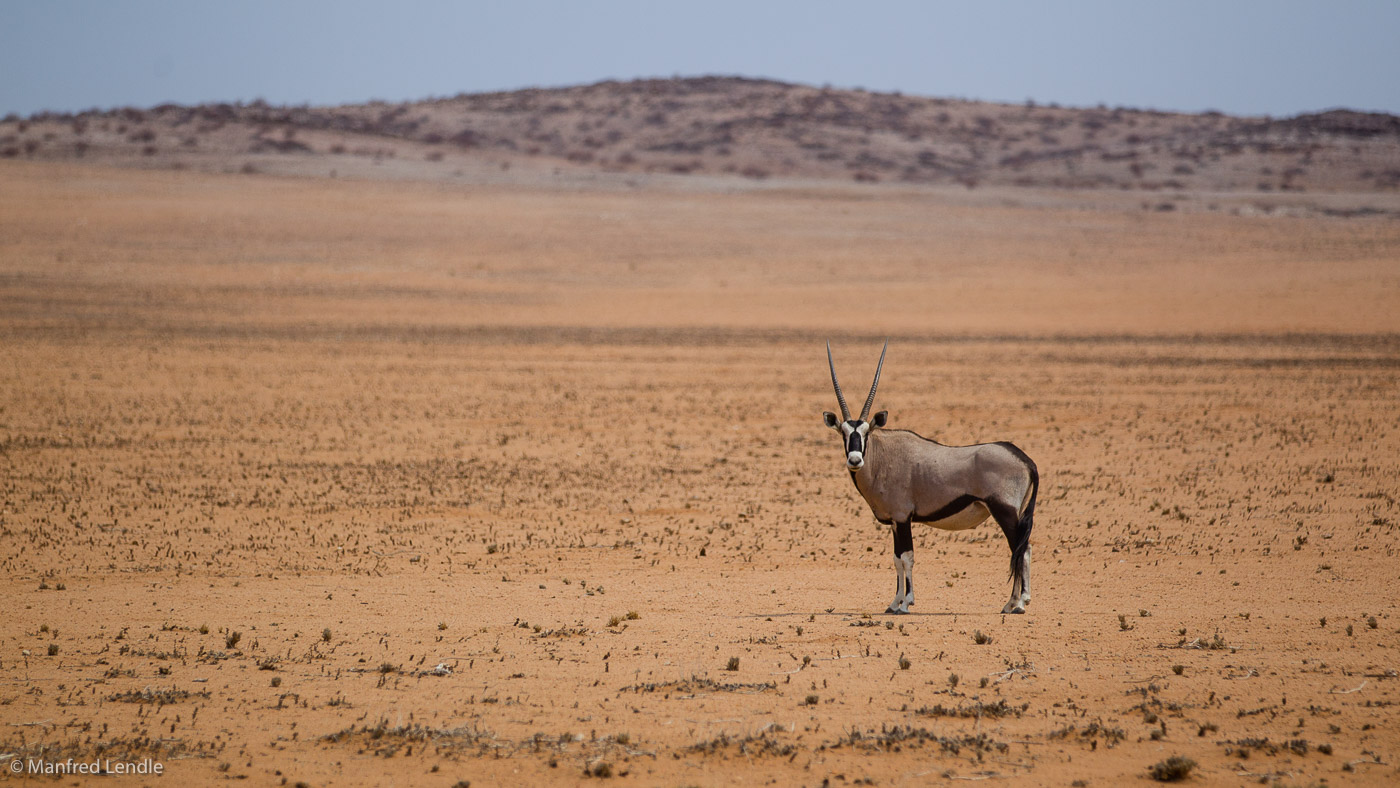 2015_Namibia_1D-2899.jpg