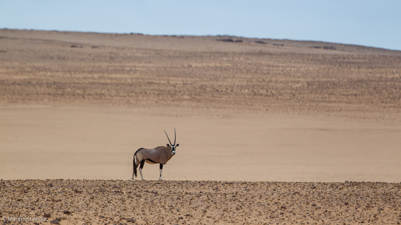 2015_Namibia_1D-3128.jpg