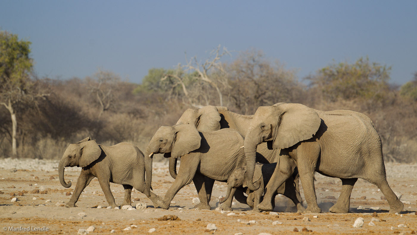 2015_Namibia_1D-5501.jpg