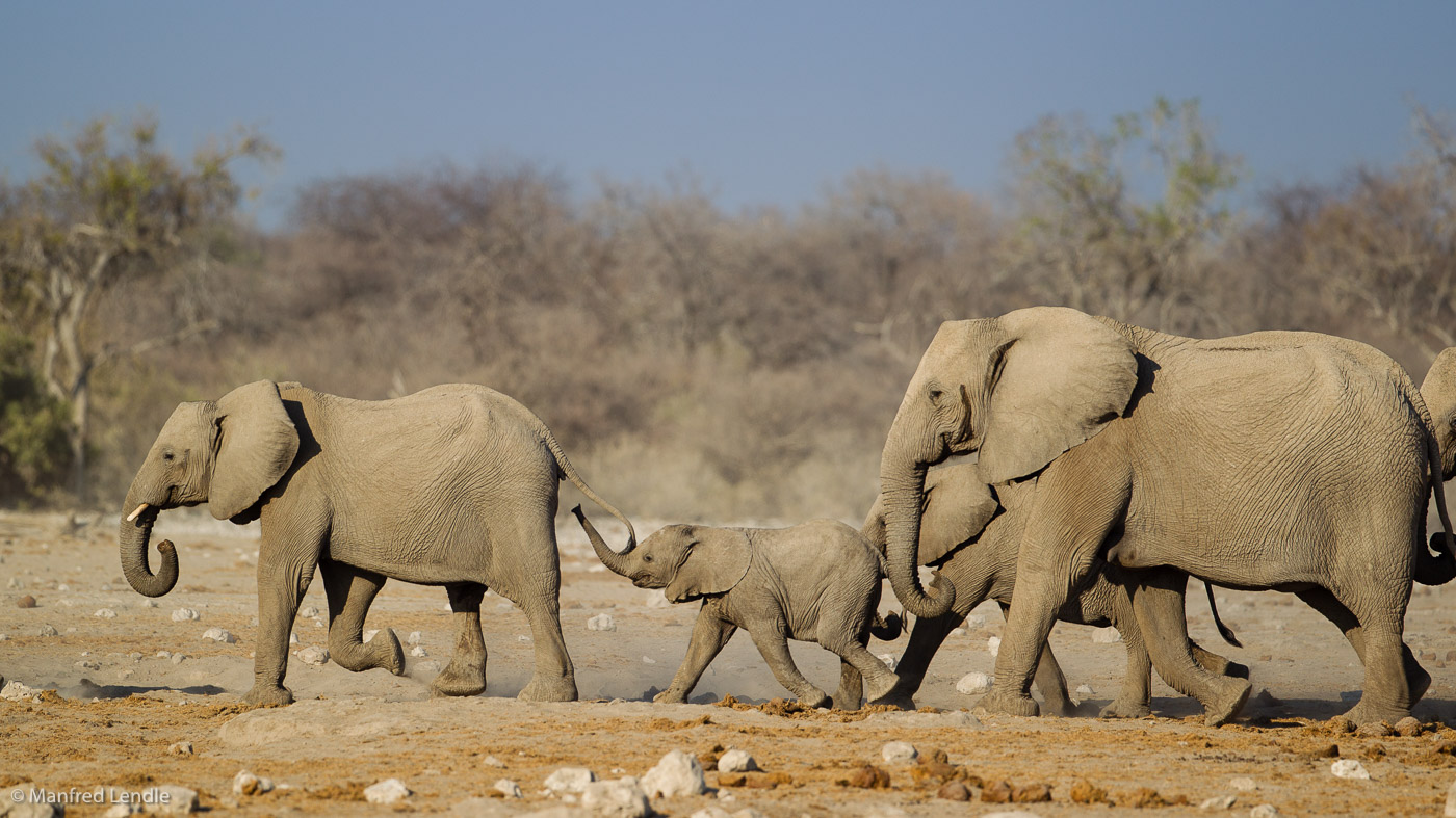 2015_Namibia_1D-5507.jpg