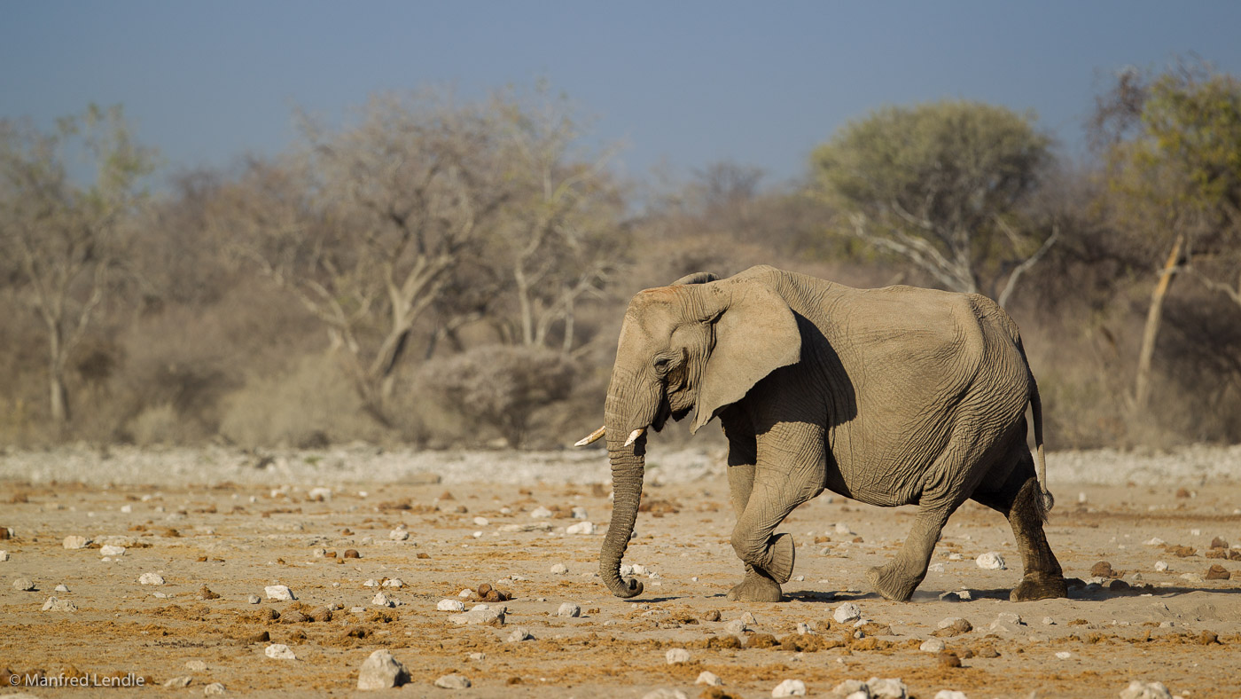 2015_Namibia_1D-5518.jpg