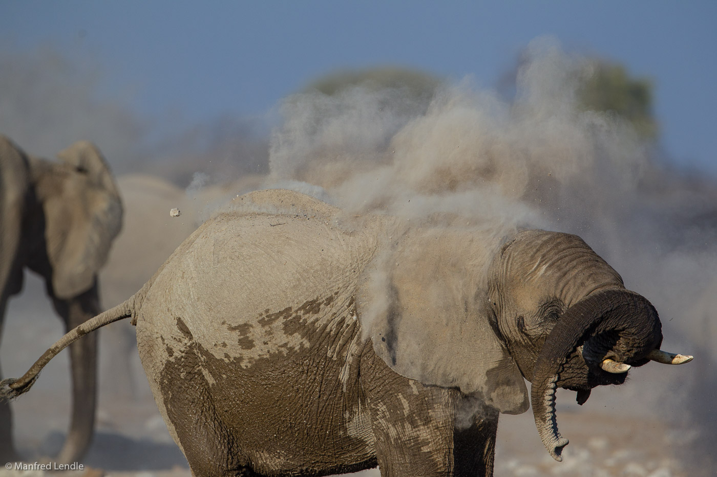 2015_Namibia_1D-5687.jpg