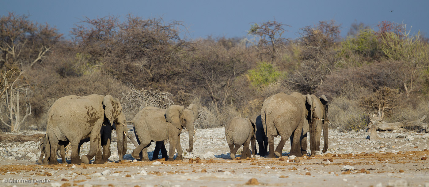 2015_Namibia_1D-5730.jpg