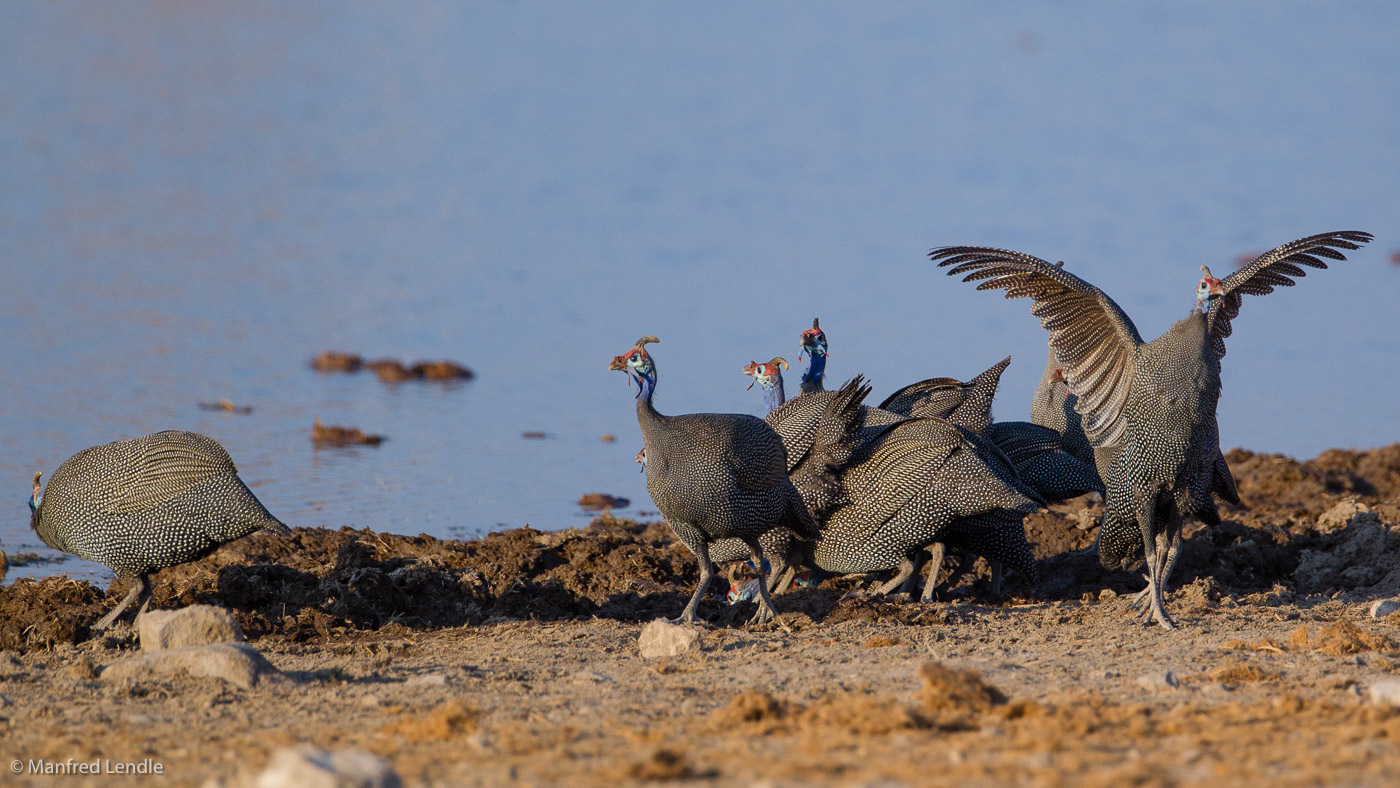 2015_Namibia_1D-5779.jpg