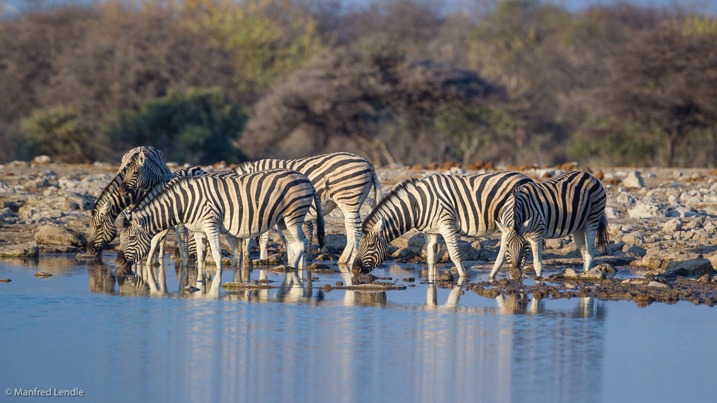 2015_Namibia_1D-5808.jpg