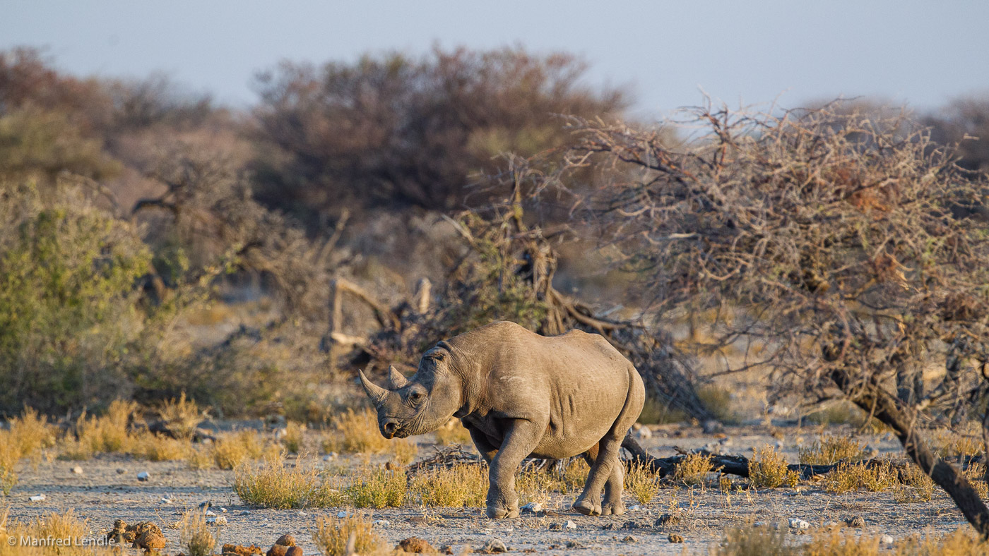 2015_Namibia_1D-5815.jpg