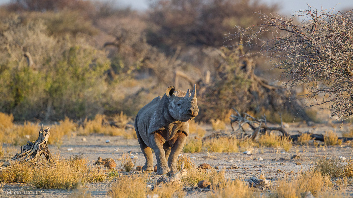 2015_Namibia_1D-5828.jpg