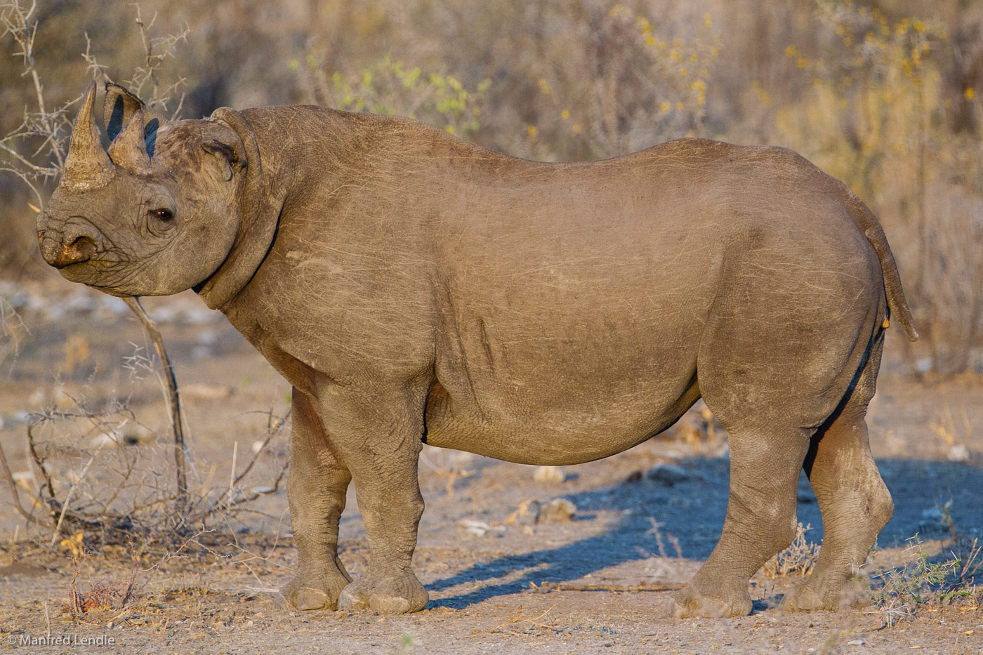 2015_Namibia_1D-5836.jpg