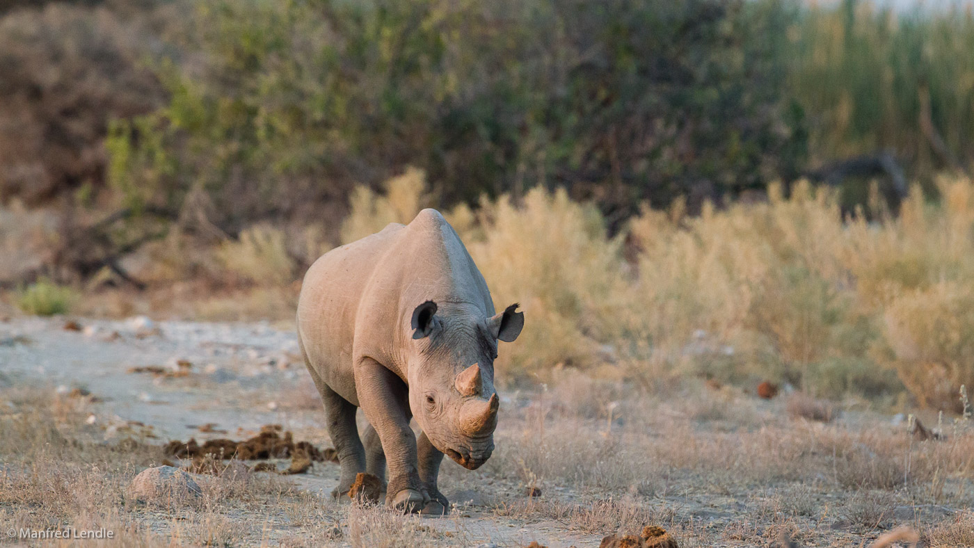 2015_Namibia_1D-5848.jpg