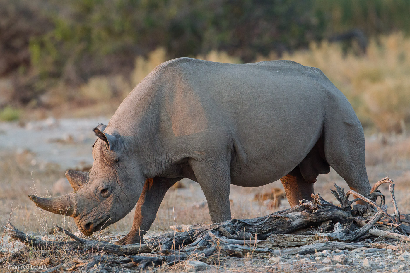 2015_Namibia_1D-5852.jpg