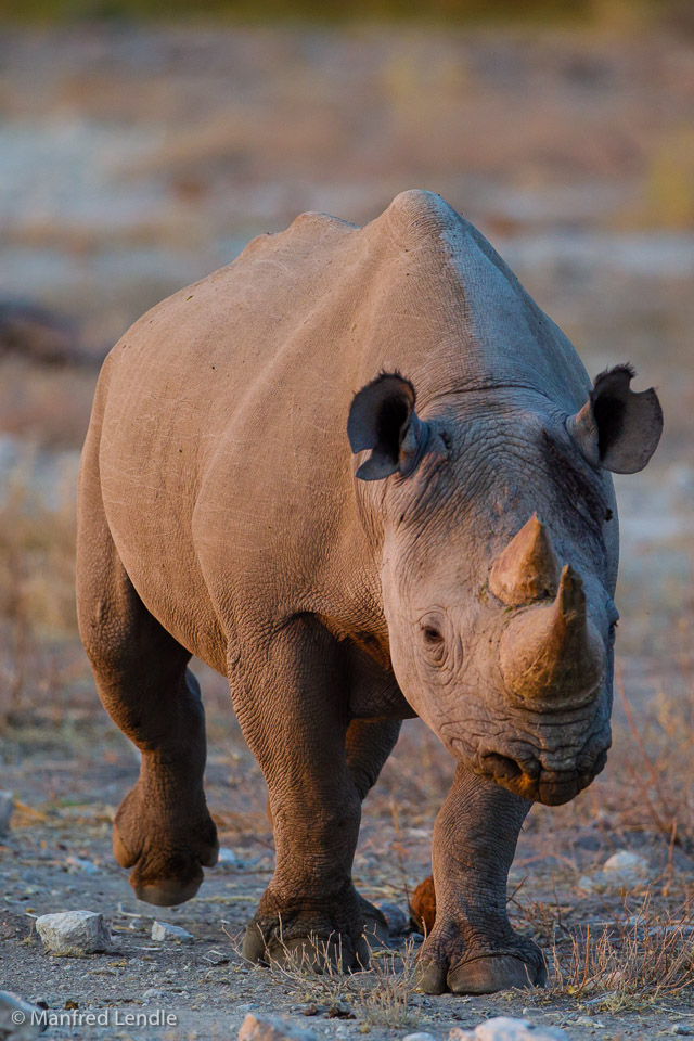 2015_Namibia_1D-5855.jpg