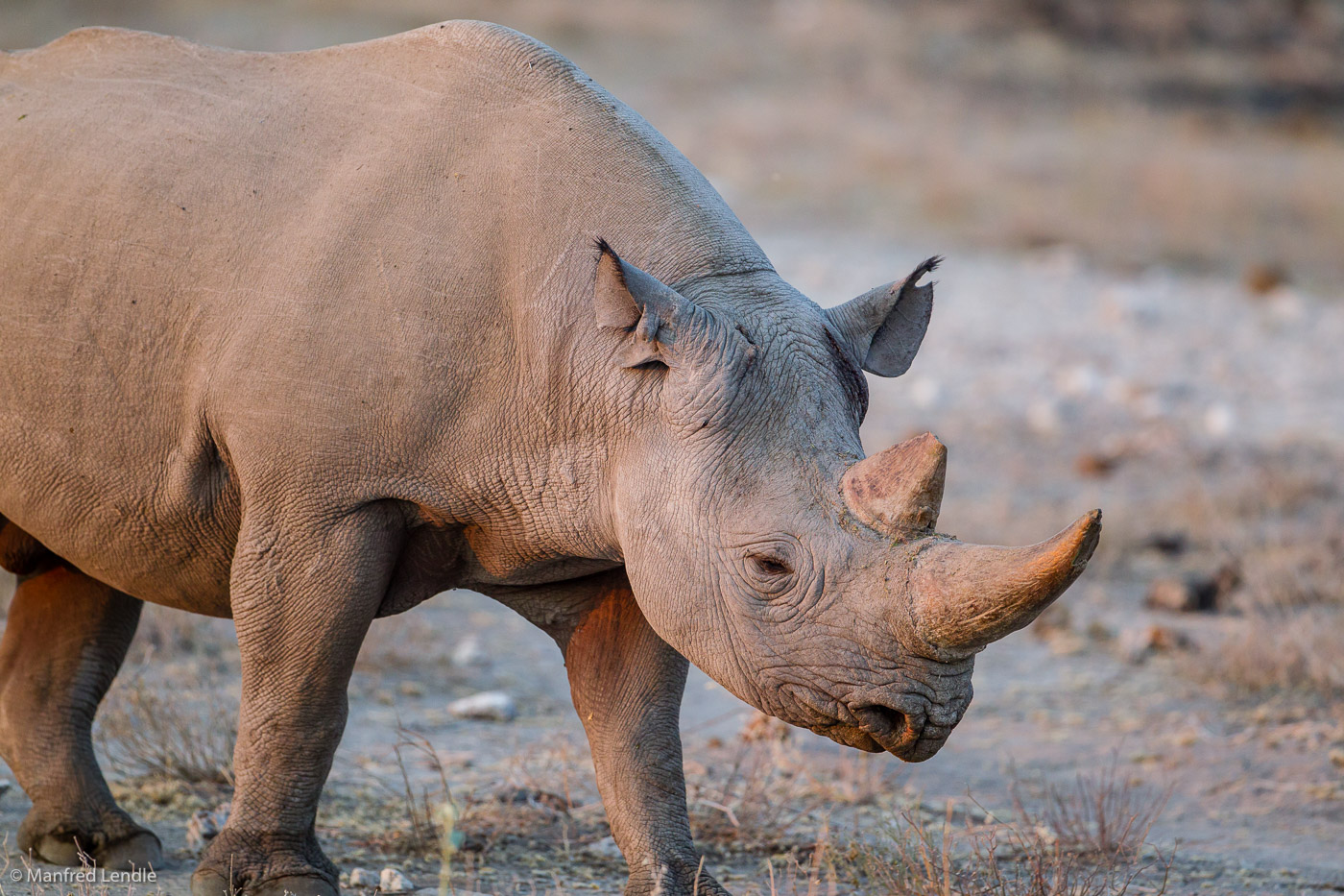 2015_Namibia_1D-5857.jpg