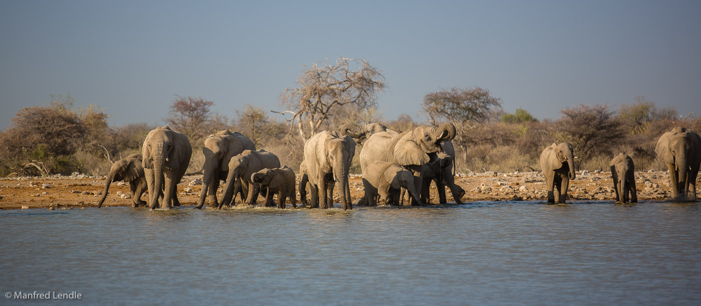 2015_Namibia_5D-3864.jpg