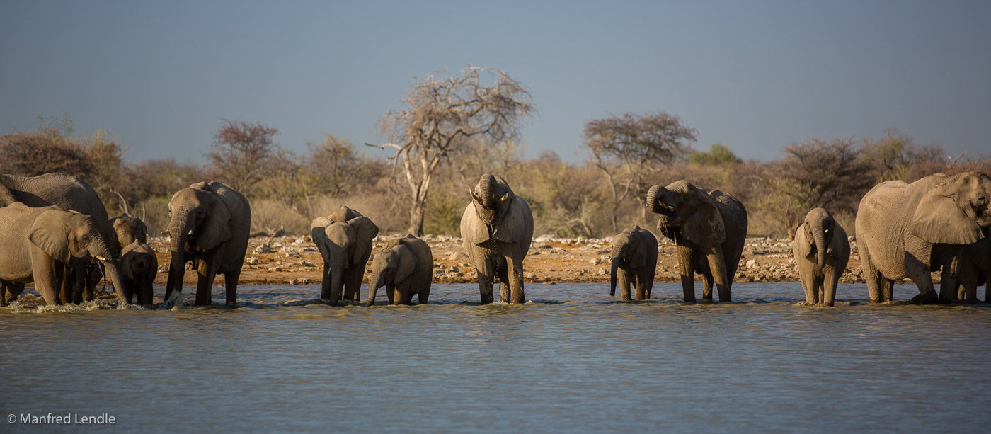 2015_Namibia_5D-3868.jpg