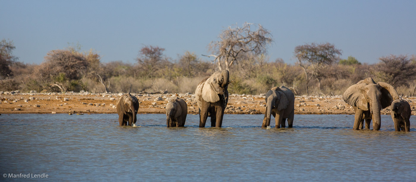 2015_Namibia_5D-3871.jpg