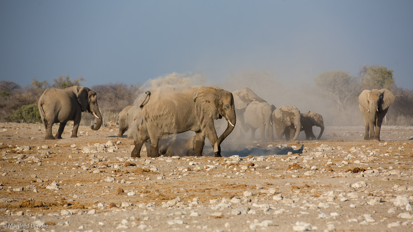 2015_Namibia_5D-3921.jpg