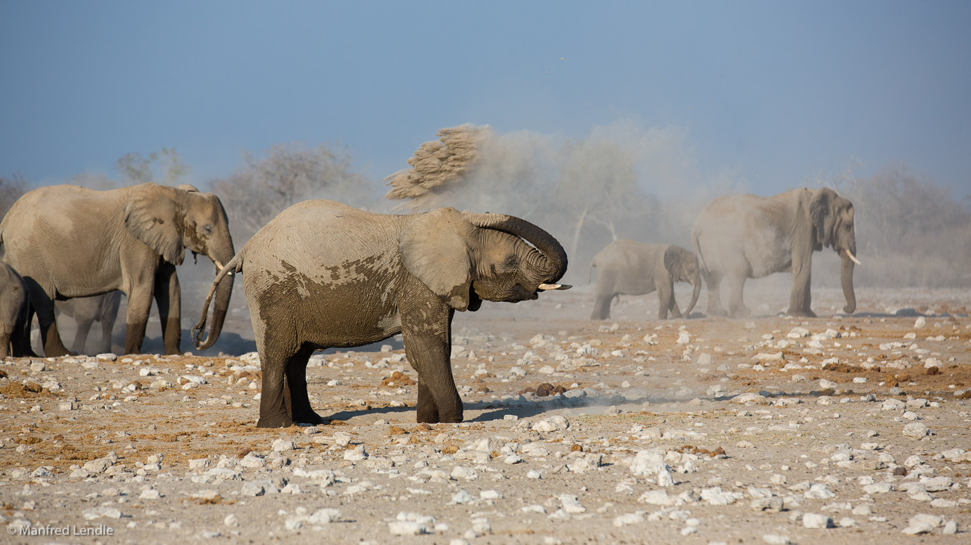 2015_Namibia_5D-3923.jpg