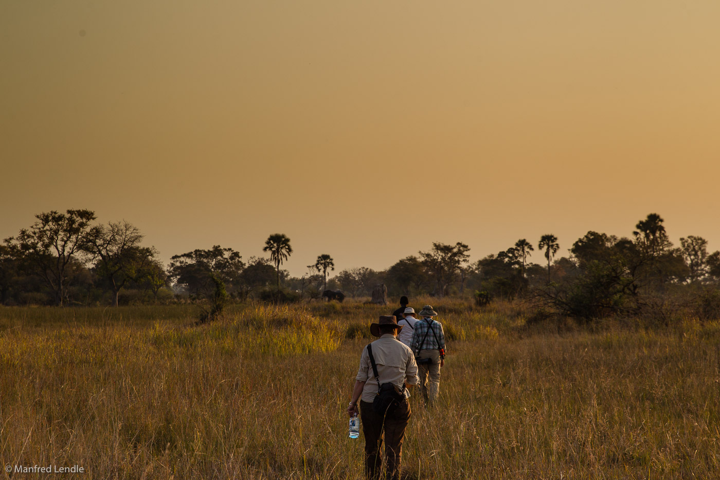 2015_Namibia_1D-6317.jpg