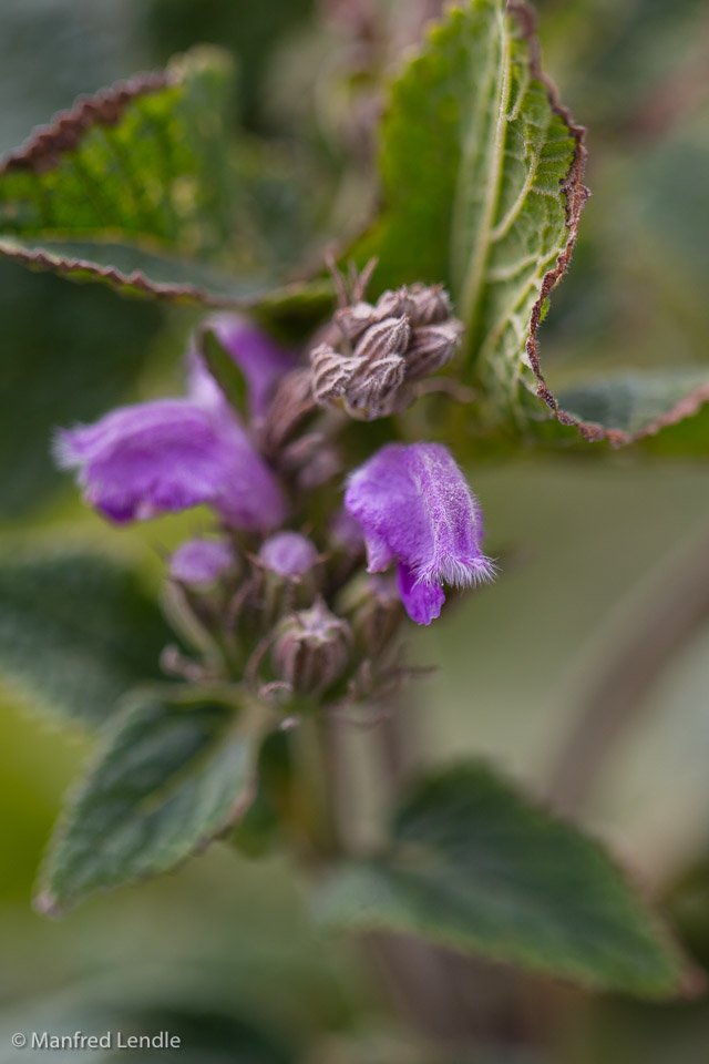 2016_Zentralasien_5D-1134.jpg