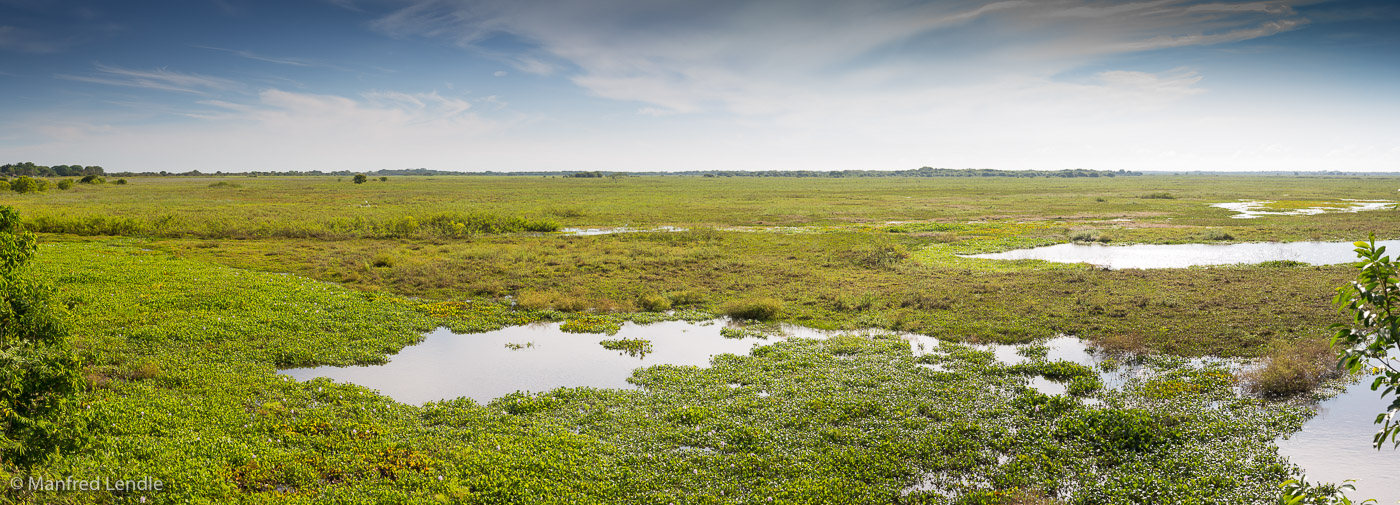 2016_Venezuela_5D-6361-Pano.jpg