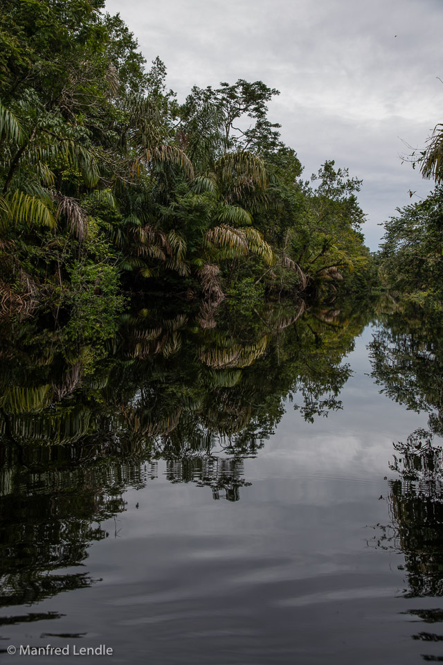 2017_Costa_Rica_5D-3094.jpg