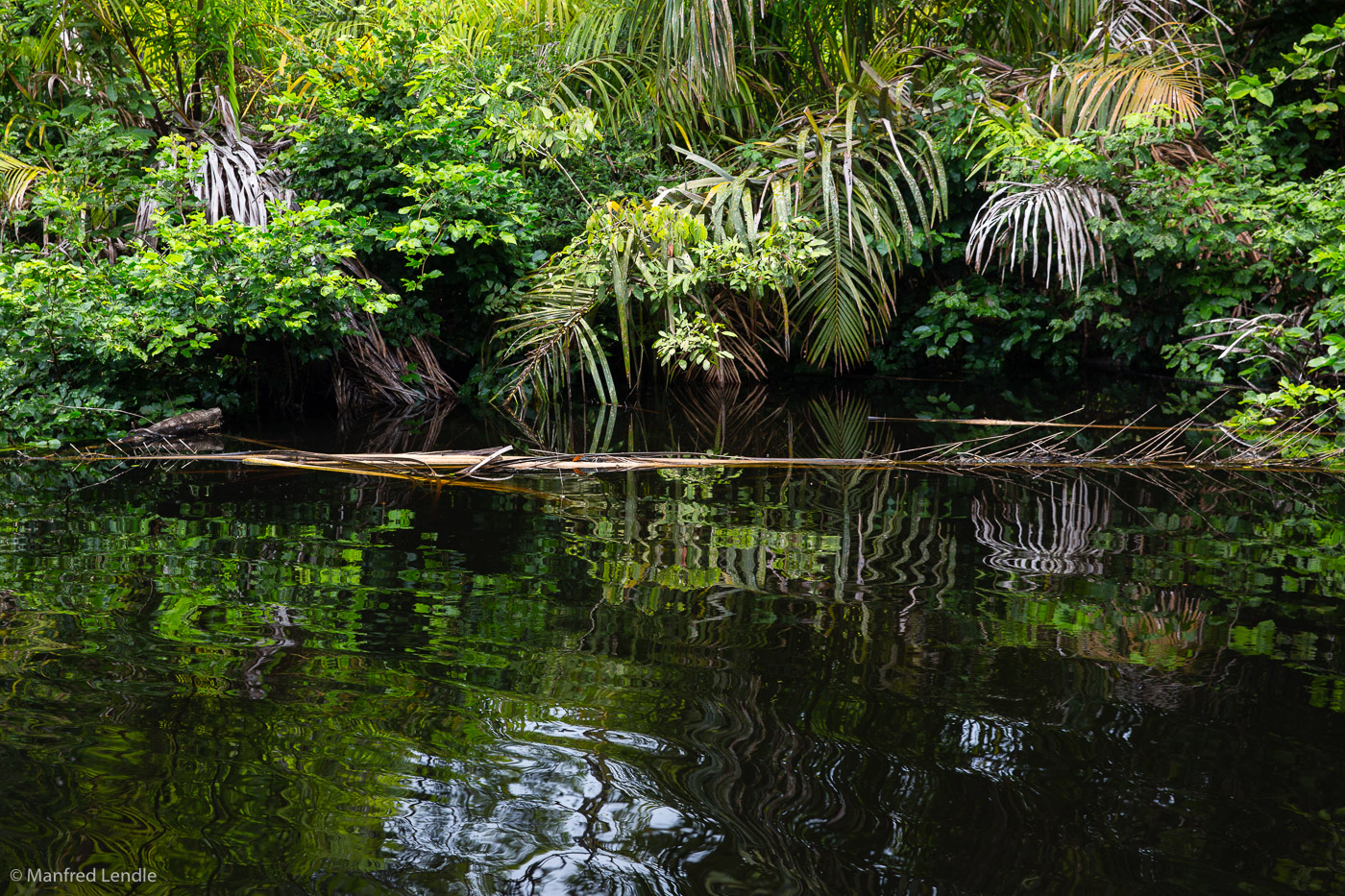 2017_Costa_Rica_5D-3132.jpg