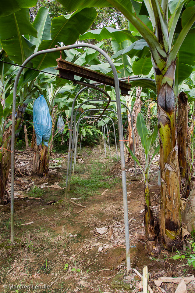 2017_Costa_Rica_1D-3271.jpg