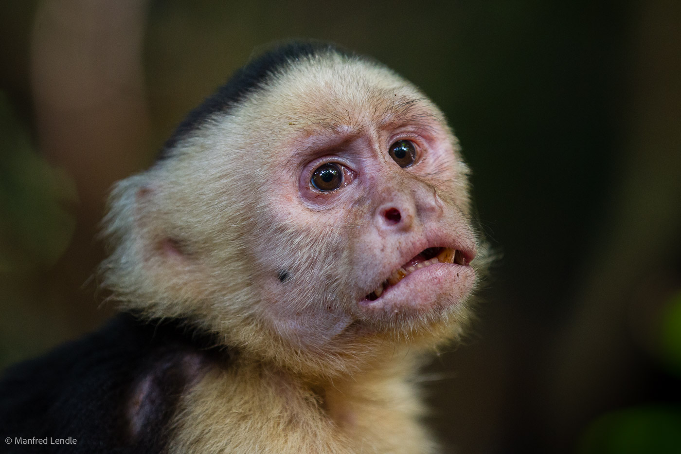 2017_Costa_Rica_1D-1367.jpg