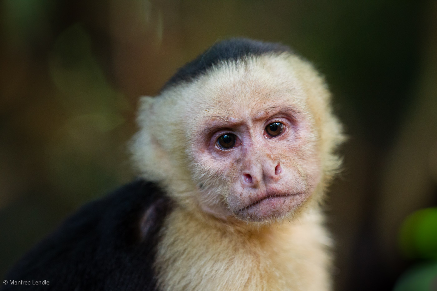 2017_Costa_Rica_1D-1369.jpg