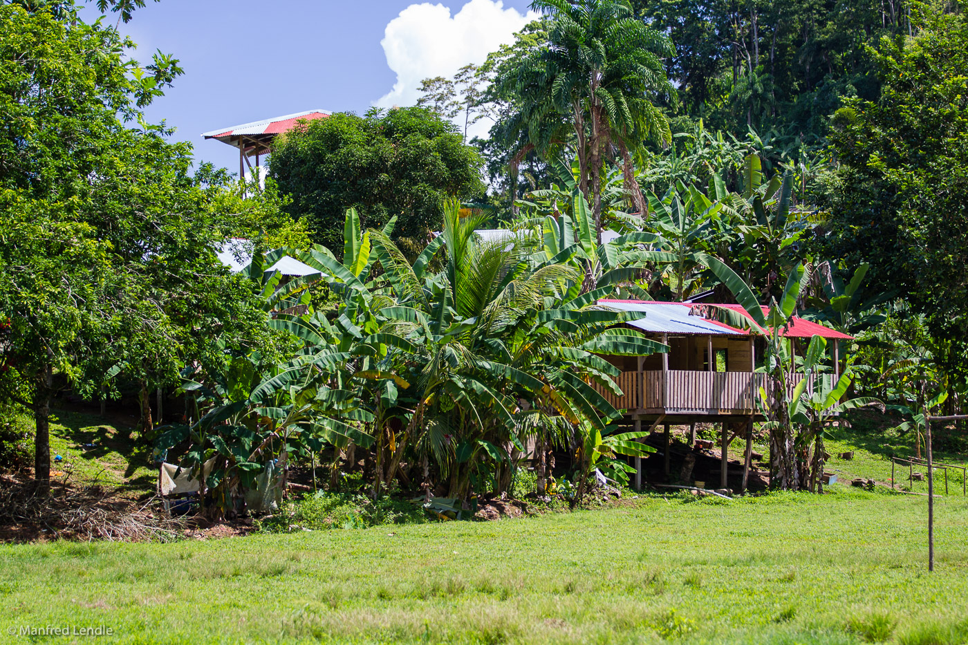 2017_Costa_Rica_1D-3617.jpg