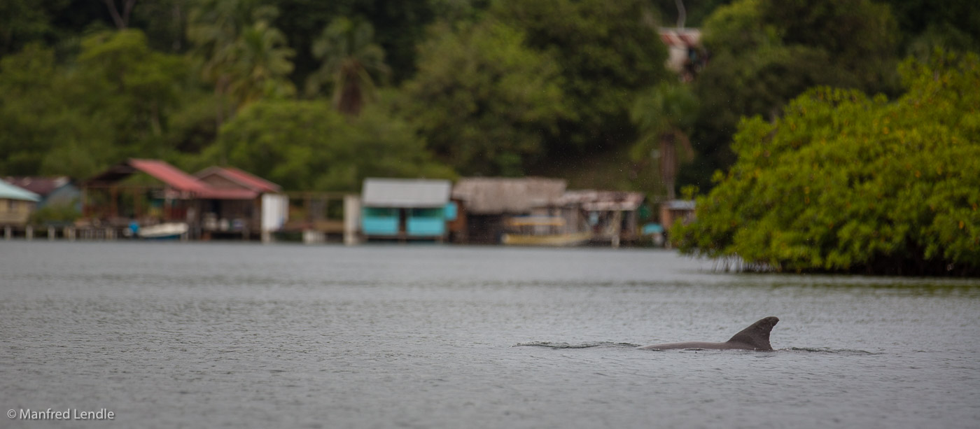 2017_Costa_Rica_5D-3992.jpg