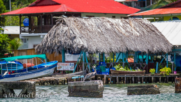 2017_Costa_Rica_1D-3744.jpg