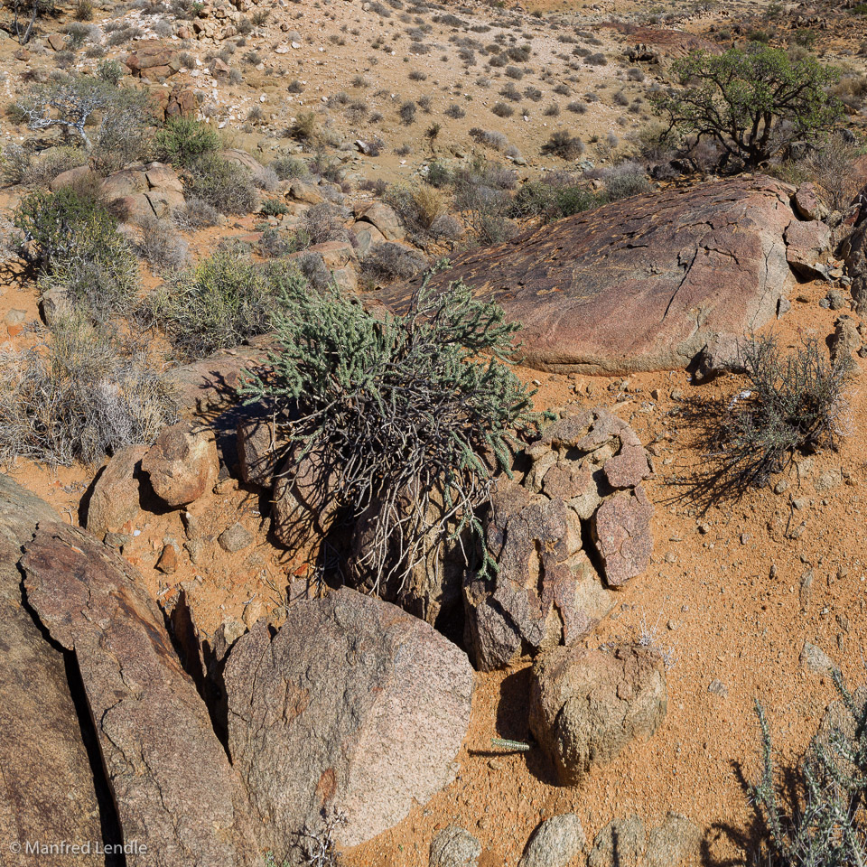 2018_Kalahari_1D-1689-Pano.jpg