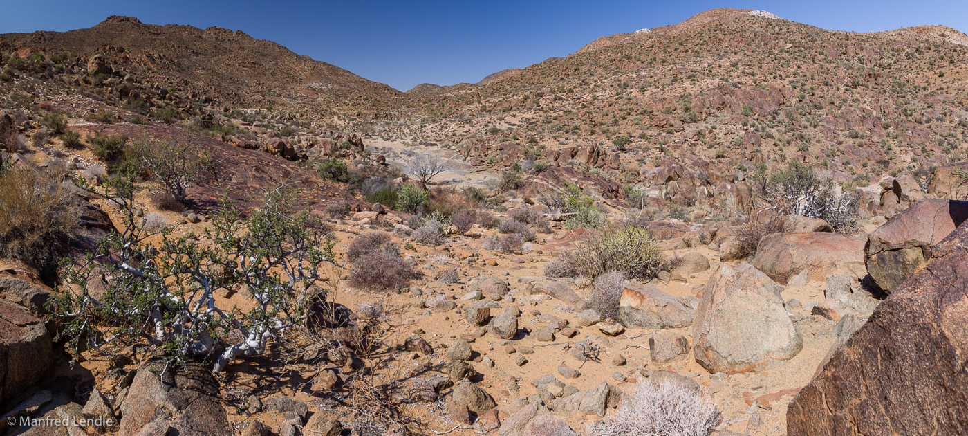 2018_Kalahari_1D-1698-Pano-Bearbeitet.jpg