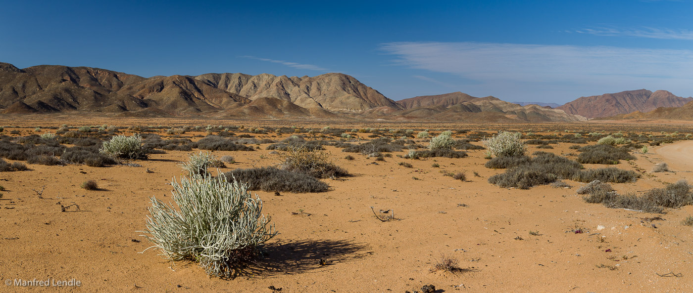 2018_Kalahari_1D-1842-Pano.jpg