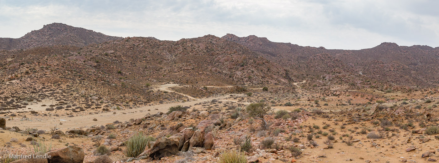 2018_Kalahari_1D-2128-Pano.jpg