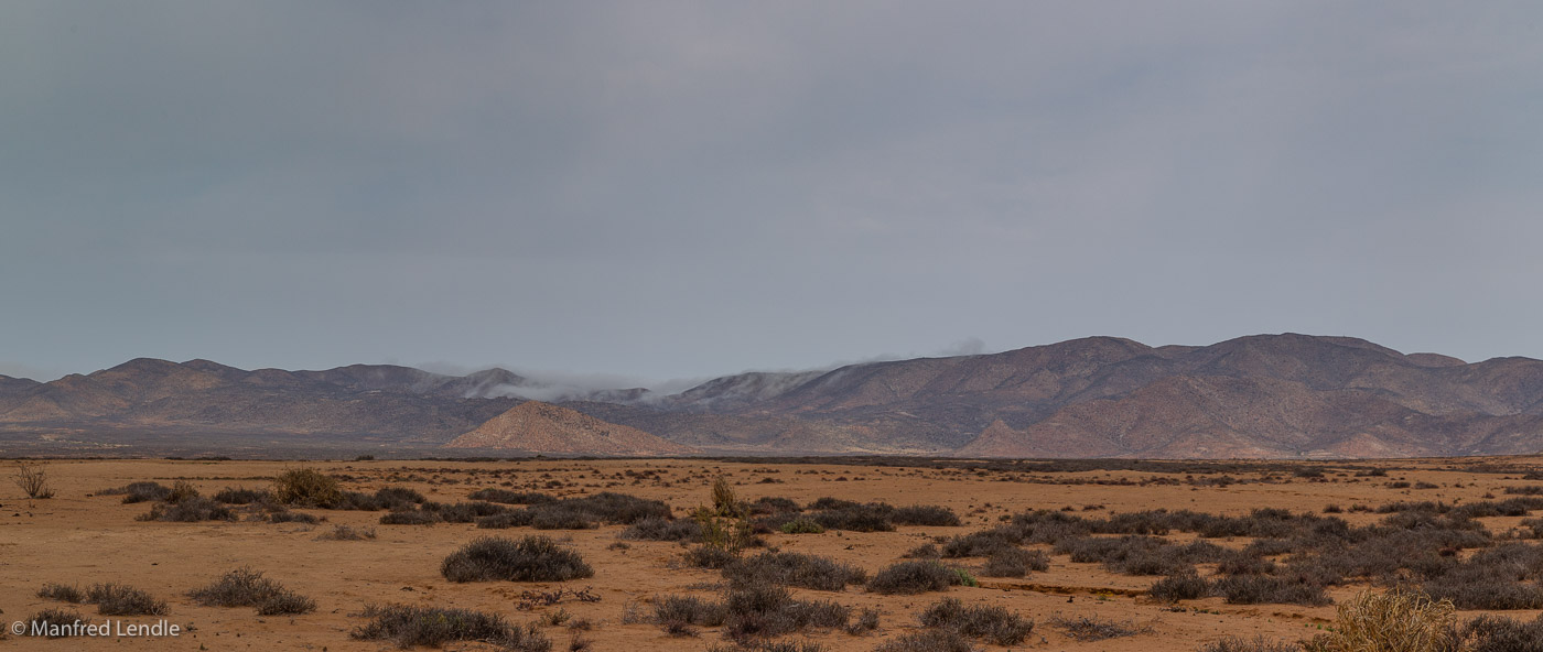 2018_Kalahari_1D-2170-Pano.jpg