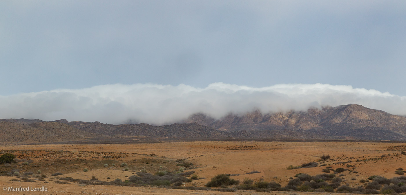 2018_Kalahari_1D-2212-Pano.jpg