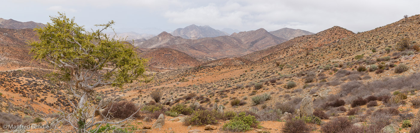 2018_Kalahari_1D-2378-Pano.jpg