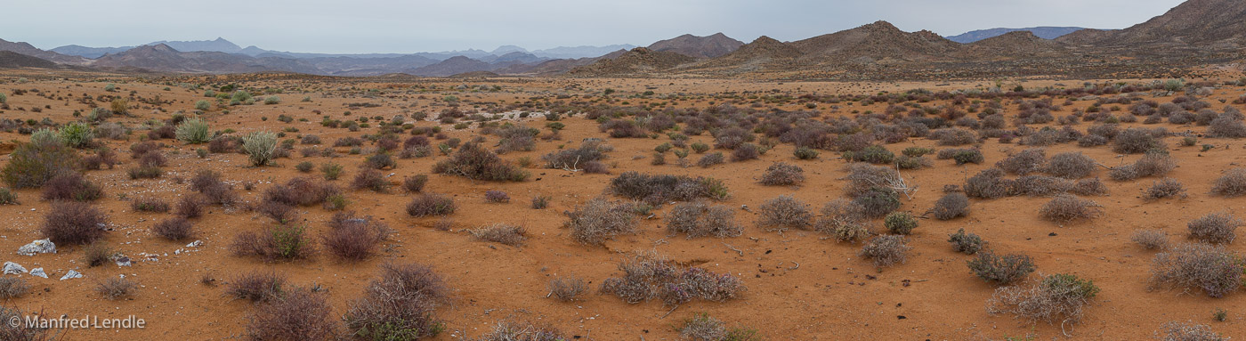 2018_Kalahari_1D-2428-Pano.jpg