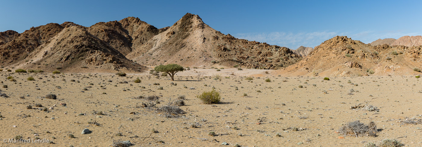 2018_Kalahari_5D-4019-Pano.jpg