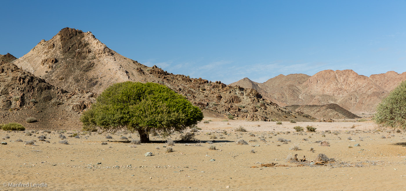 2018_Kalahari_5D-4023-Pano.jpg