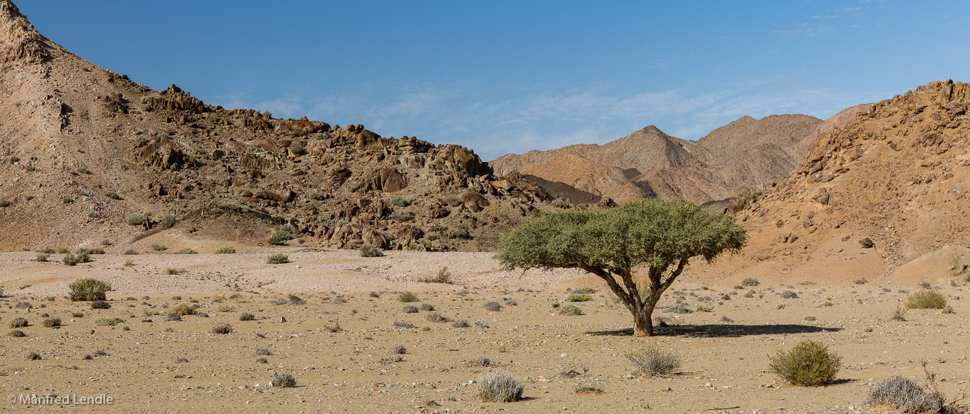 2018_Kalahari_5D-4048-Pano.jpg