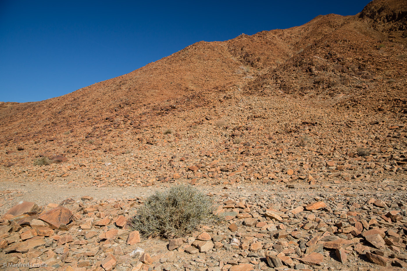 2018_Kalahari_5D-4318.jpg