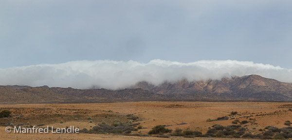 2018_Kalahari_1D-2212-Pano.jpg