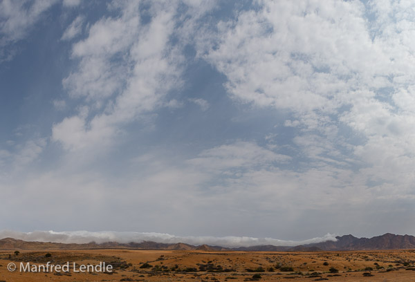 2018_Kalahari_1D-2235-Pano.jpg