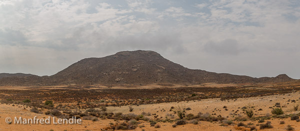 2018_Kalahari_1D-2250-Pano.jpg