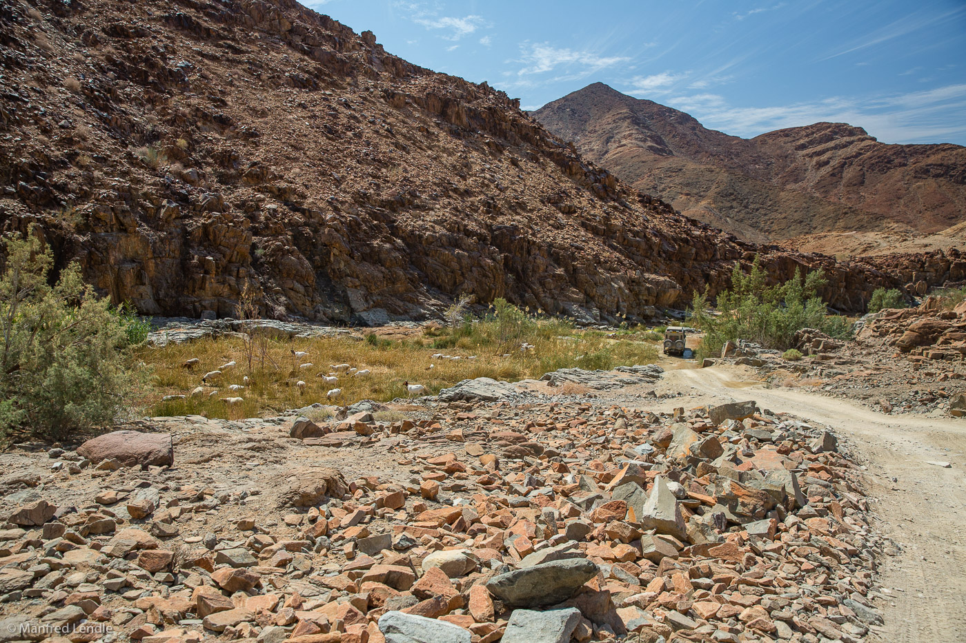 2018_Kalahari_5D-4235.jpg