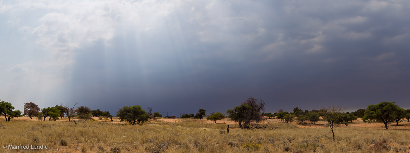 2018_Kalahari_1D-5449-Pano.jpg